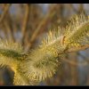 20050402_124